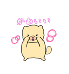 チャウチャウのこゆぞう3（個別スタンプ：11）