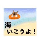 お酒とネコ好きな日常会話30夏の感じver.（個別スタンプ：33）