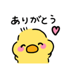 ◉ぴよこの挨拶◉（個別スタンプ：7）