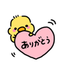◉ぴよこの挨拶◉（個別スタンプ：8）