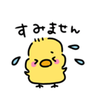 ◉ぴよこの挨拶◉（個別スタンプ：13）