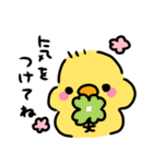 ◉ぴよこの挨拶◉（個別スタンプ：17）