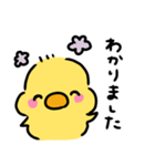 ◉ぴよこの挨拶◉（個別スタンプ：22）