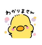 ◉ぴよこの挨拶◉（個別スタンプ：24）