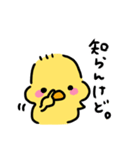 ◉ぴよこの挨拶◉（個別スタンプ：25）