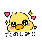 ◉ぴよこの挨拶◉（個別スタンプ：33）