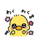 ◉ぴよこの挨拶◉（個別スタンプ：37）