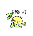 ぷくぷくインコの春一番（個別スタンプ：14）