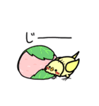 ぷくぷくインコの春一番（個別スタンプ：28）