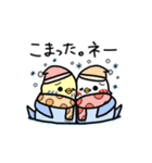 ぷくぷくインコの春一番（個別スタンプ：37）