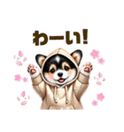 ふわふわコーギー パーカー編（個別スタンプ：25）