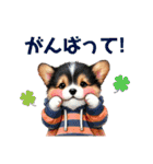 ふわふわコーギー パーカー編（個別スタンプ：29）