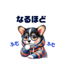 ふわふわコーギー パーカー編（個別スタンプ：37）