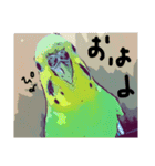 ぴよまる一家の日常（個別スタンプ：1）