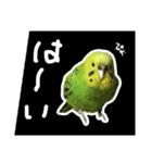 ぴよまる一家の日常（個別スタンプ：17）