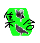 ぴよまる一家の日常（個別スタンプ：22）