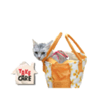 みーちゃんのスタンプはここ（個別スタンプ：10）
