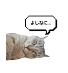 みーちゃんのスタンプはここ（個別スタンプ：15）
