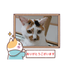 第2弾の敬語版のスタンプ（個別スタンプ：2）