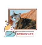 第2弾の敬語版のスタンプ（個別スタンプ：3）