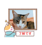 第2弾の敬語版のスタンプ（個別スタンプ：4）