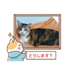 第2弾の敬語版のスタンプ（個別スタンプ：5）