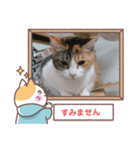第2弾の敬語版のスタンプ（個別スタンプ：6）