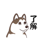 茶ハスからの返事（個別スタンプ：5）
