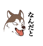 茶ハスからの返事（個別スタンプ：8）