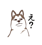 茶ハスからの返事（個別スタンプ：9）