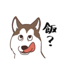 茶ハスからの返事（個別スタンプ：14）