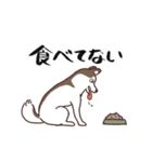 茶ハスからの返事（個別スタンプ：16）