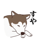 茶ハスからの返事（個別スタンプ：21）