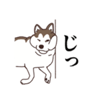 茶ハスからの返事（個別スタンプ：23）