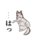 茶ハスからの返事（個別スタンプ：27）