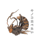 ミツバチと生き物いろいろvol.14（個別スタンプ：9）