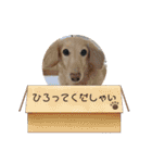 みおと愉快な仲間たち♫（個別スタンプ：23）