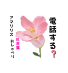 プレゼントの参考にもなる花言葉スタンプ（個別スタンプ：8）