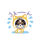 シェルティの動くスタンプ1（個別スタンプ：1）