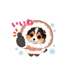 シェルティの動くスタンプ1（個別スタンプ：4）