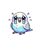 青インコのそらちゃん（個別スタンプ：7）