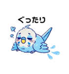 青インコのそらちゃん（個別スタンプ：11）