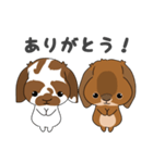 第二弾こはくくん、むさしくん（個別スタンプ：1）