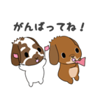 第二弾こはくくん、むさしくん（個別スタンプ：2）