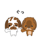 第二弾こはくくん、むさしくん（個別スタンプ：6）