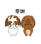 第二弾こはくくん、むさしくん（個別スタンプ：7）