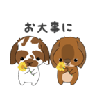 第二弾こはくくん、むさしくん（個別スタンプ：8）