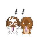 第二弾こはくくん、むさしくん（個別スタンプ：10）
