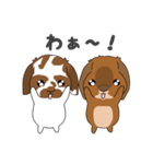 第二弾こはくくん、むさしくん（個別スタンプ：11）
