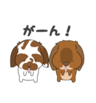 第二弾こはくくん、むさしくん（個別スタンプ：12）